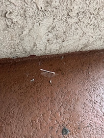 Litter