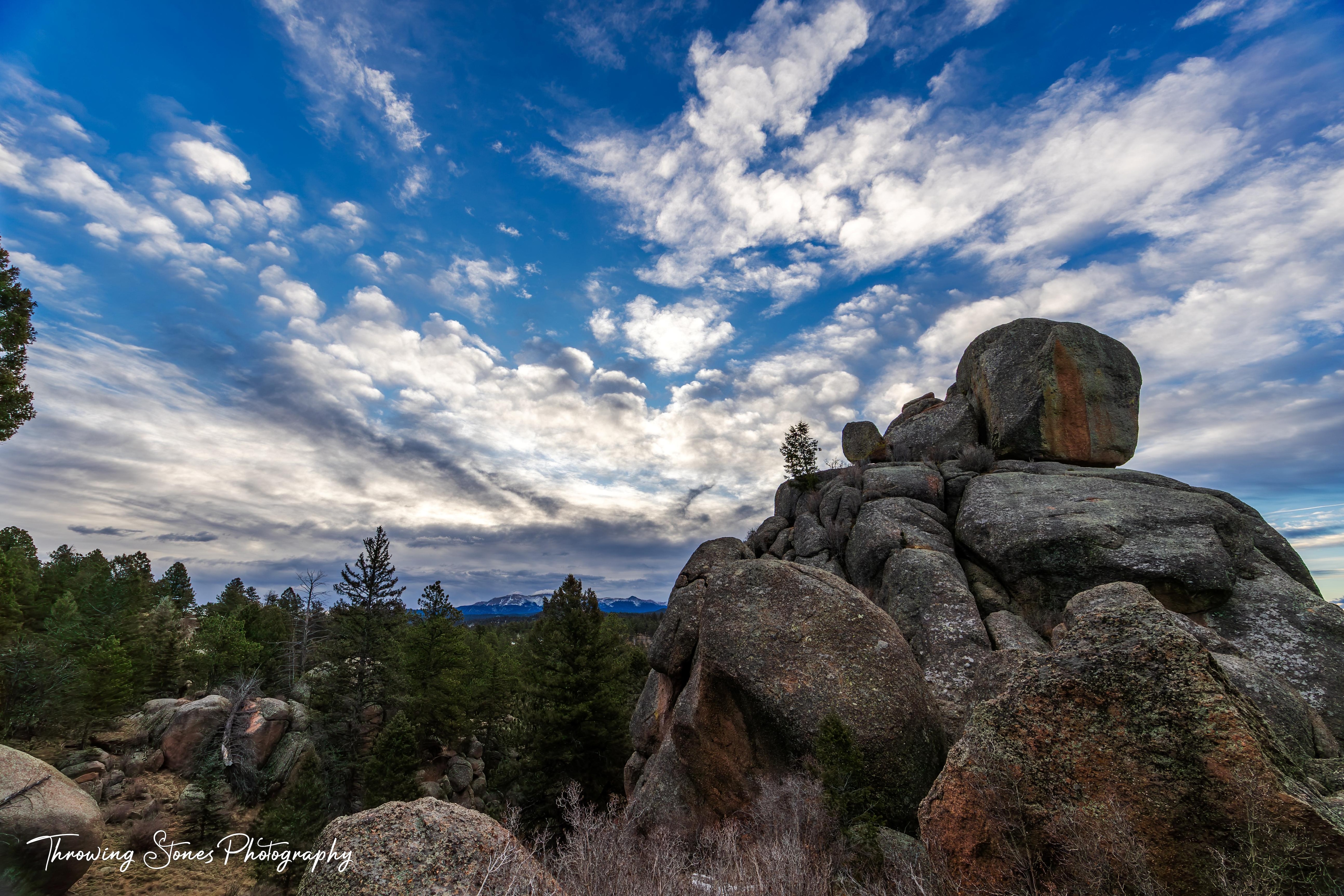 Sunrise on the property