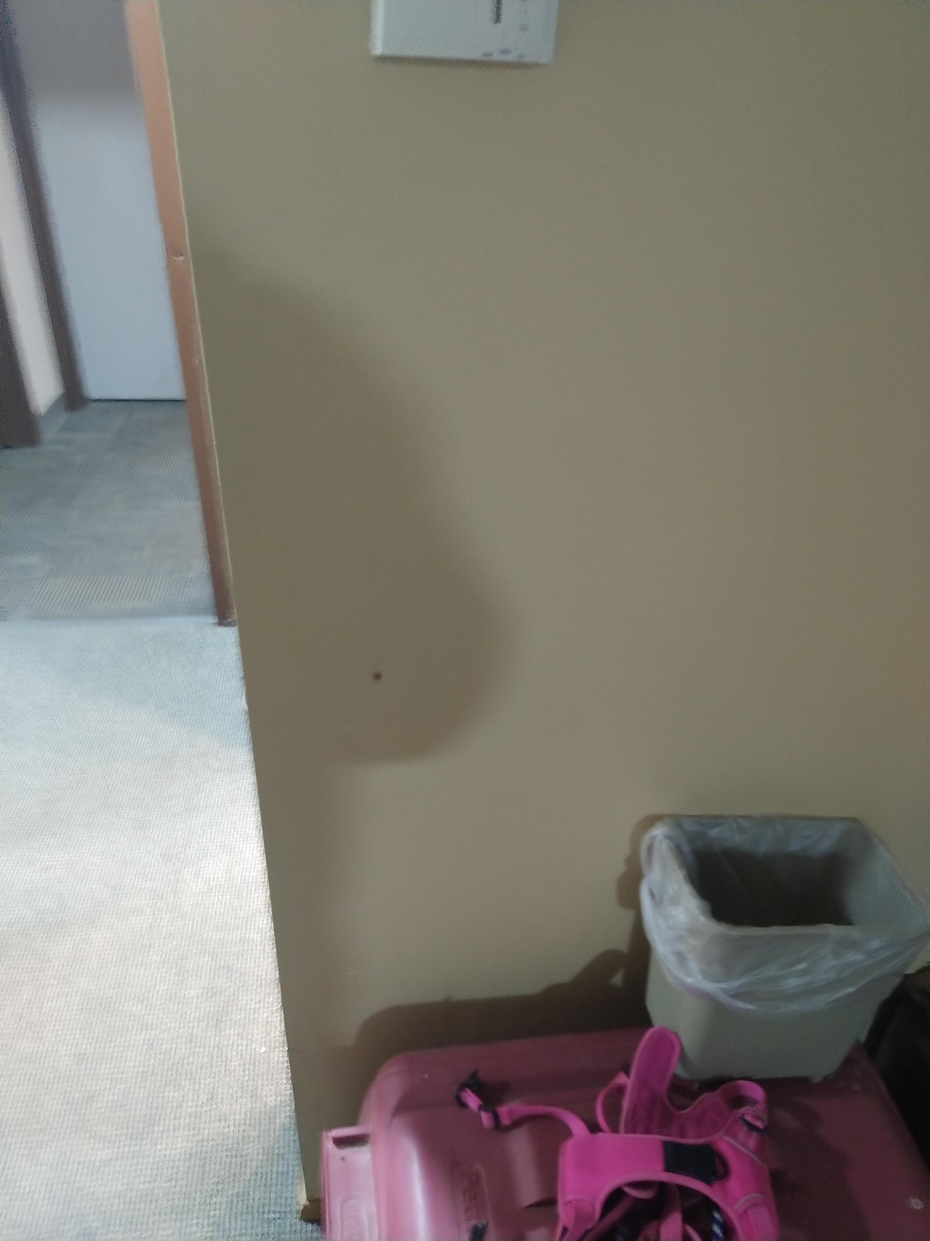 Vomit on wall