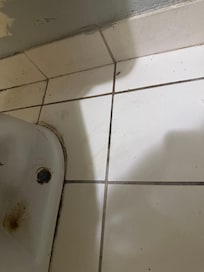 Nasty toilet