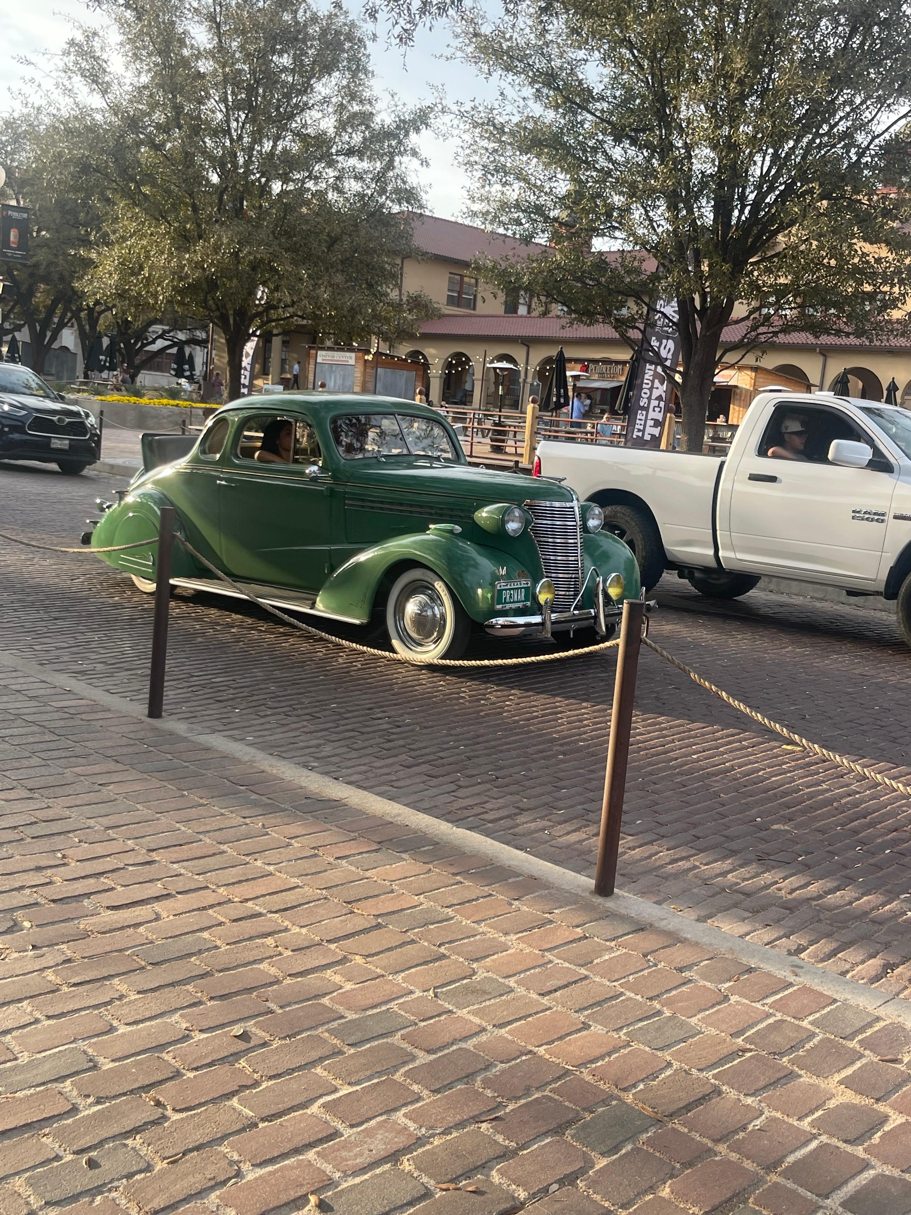 Botanical Gardens butterfly exhibit