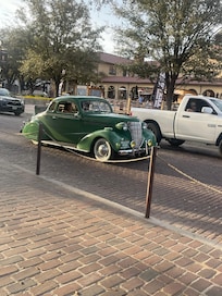 Botanical Gardens butterfly exhibit