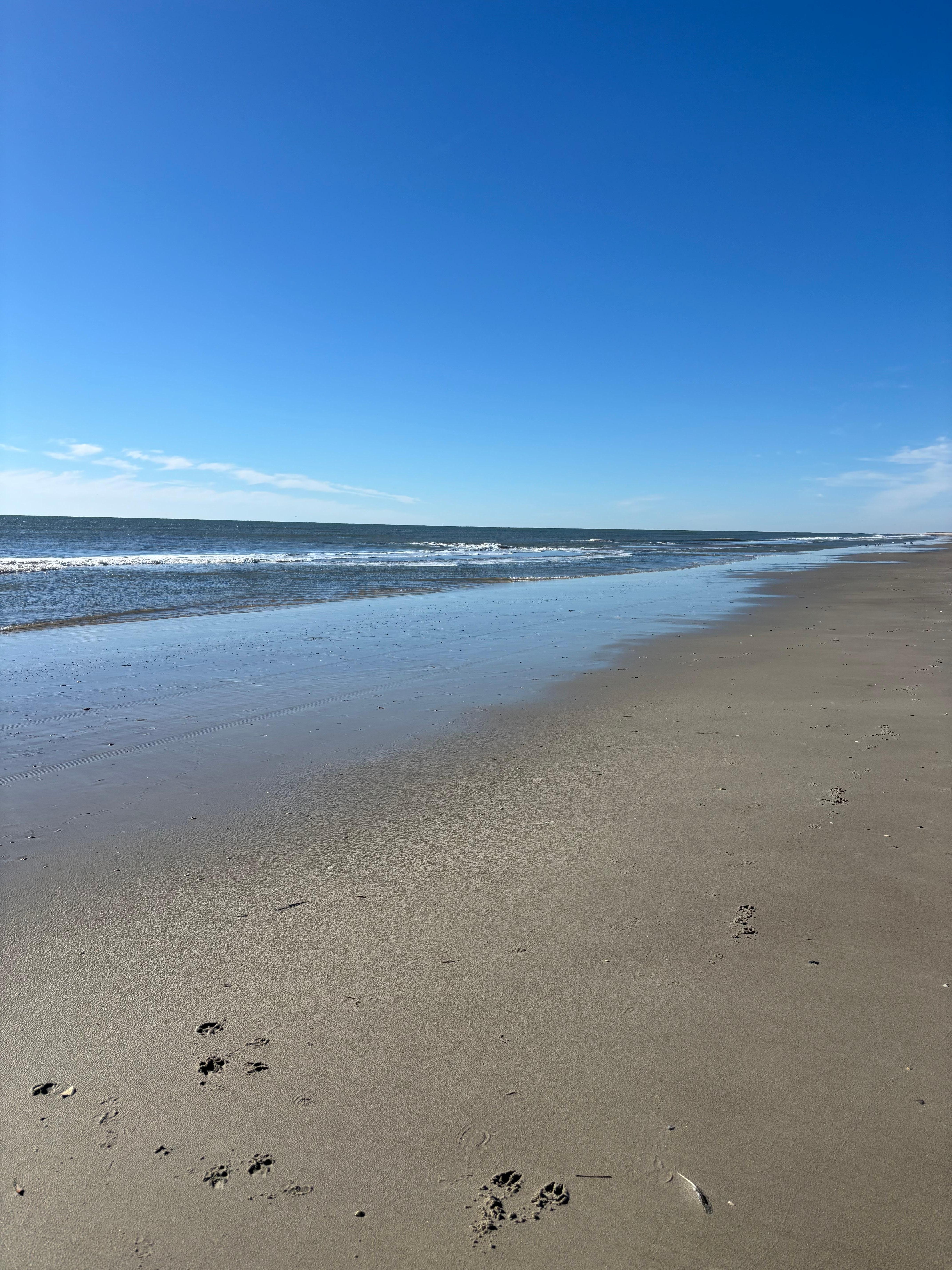 Walked the beautiful beach!