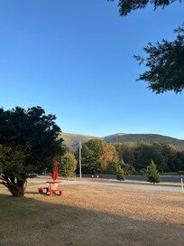 Mountain View are absolutely beautiful