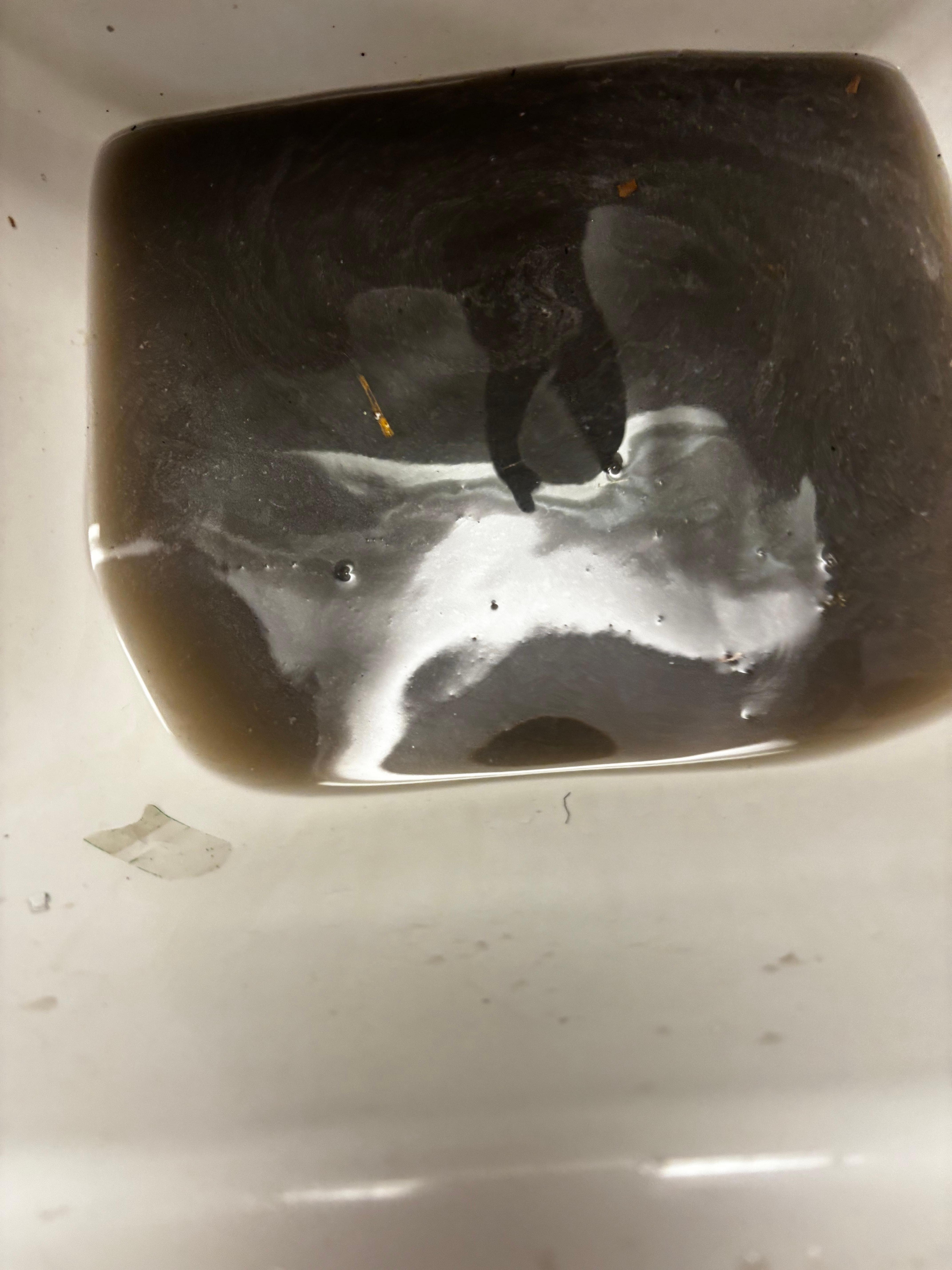 Dirty water fromsecond time cleaning the floor second time 
3rd time cleaning the floor finally got it squeaky clean