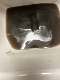 Dirty water fromsecond time cleaning the floor second time
3rd time cleaning the floor finally got it squeaky clean