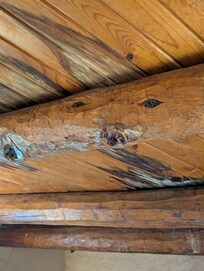 Bad leaks in room, on top of bed