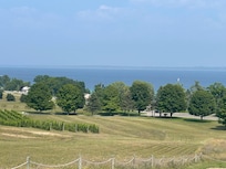 Local vineyards