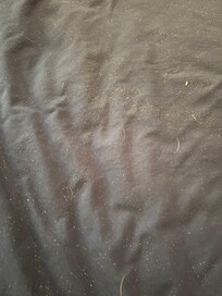 Master bed
