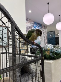 Pickles make us feel extra welcomed