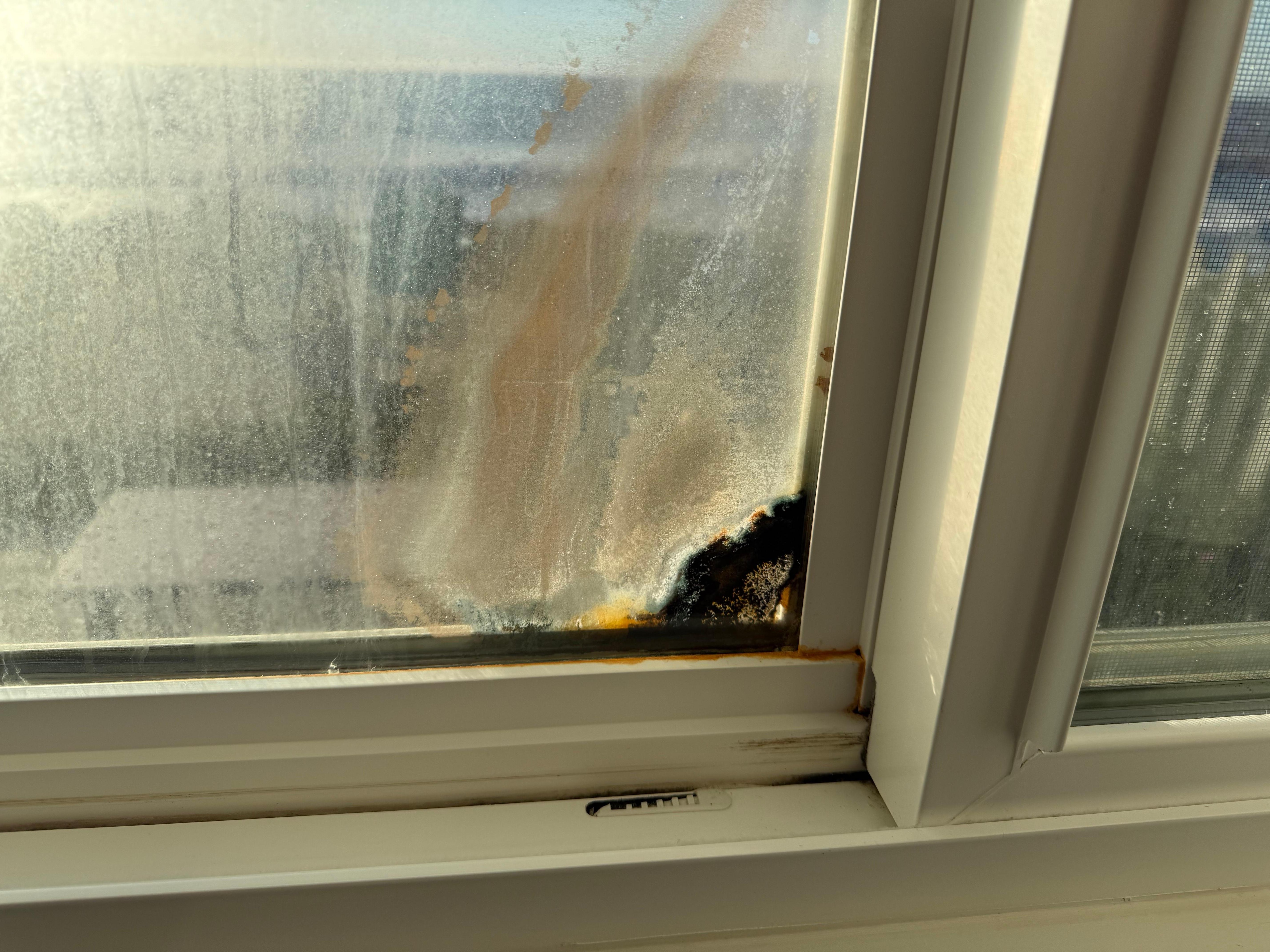 Window in second bedroom really needs to be replaced as it detracts from the amazing ocean view. 