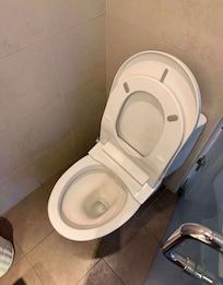 Toilet that didn’t flush.