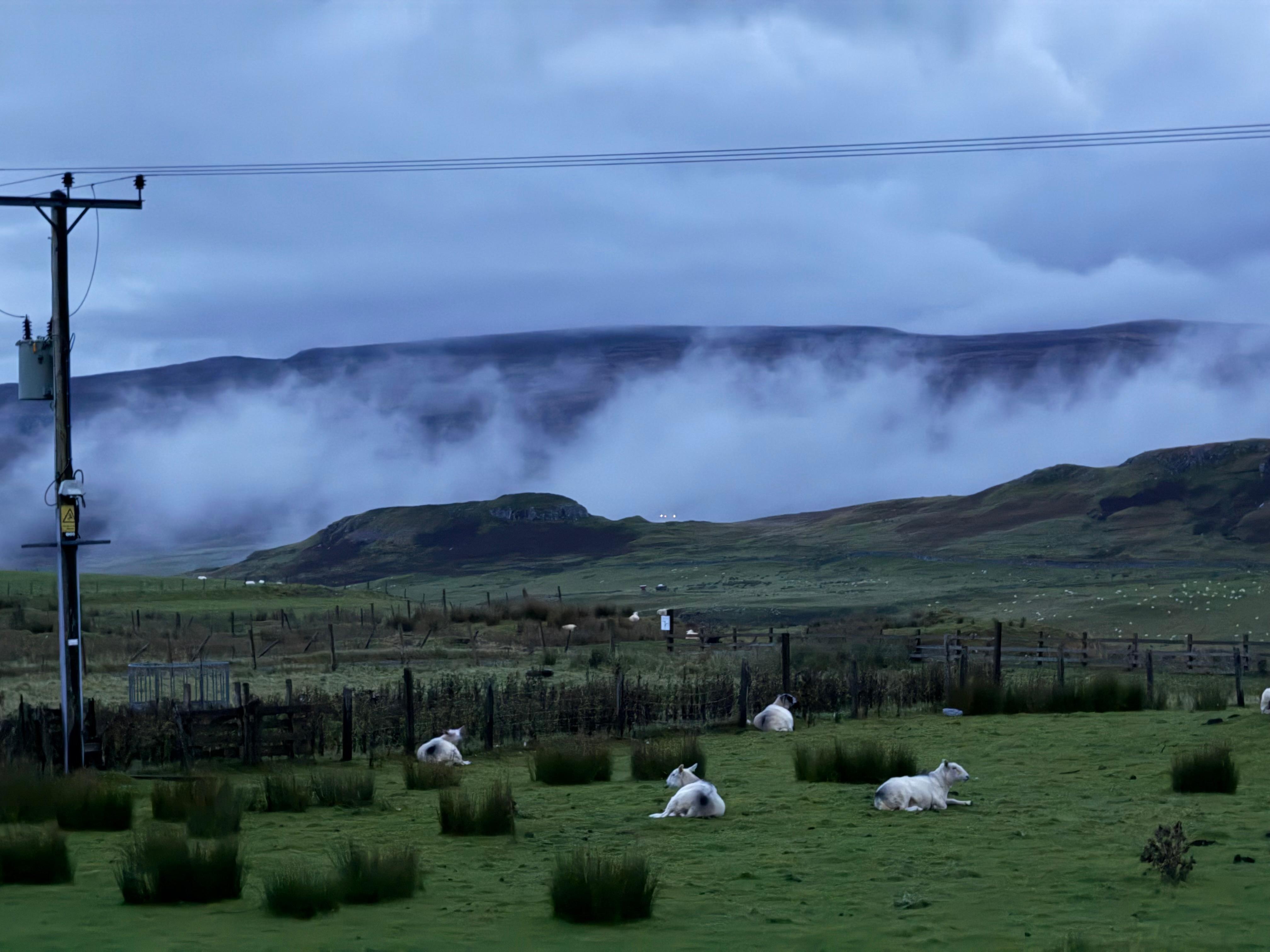View from the lounge