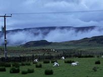 View from the lounge