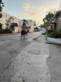 Our favorite server.