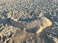Beach sculpture