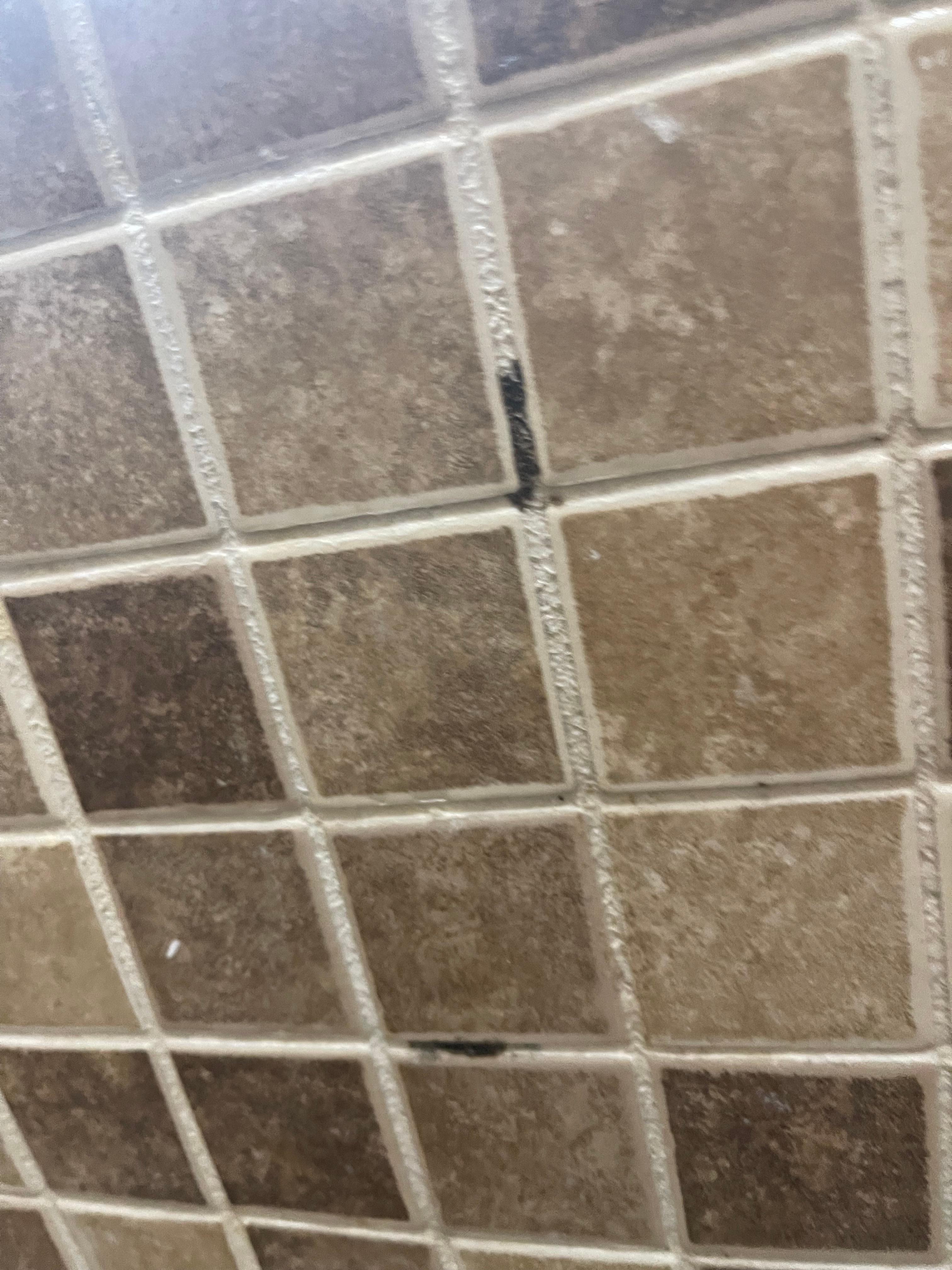 Moldy grout in the shower 