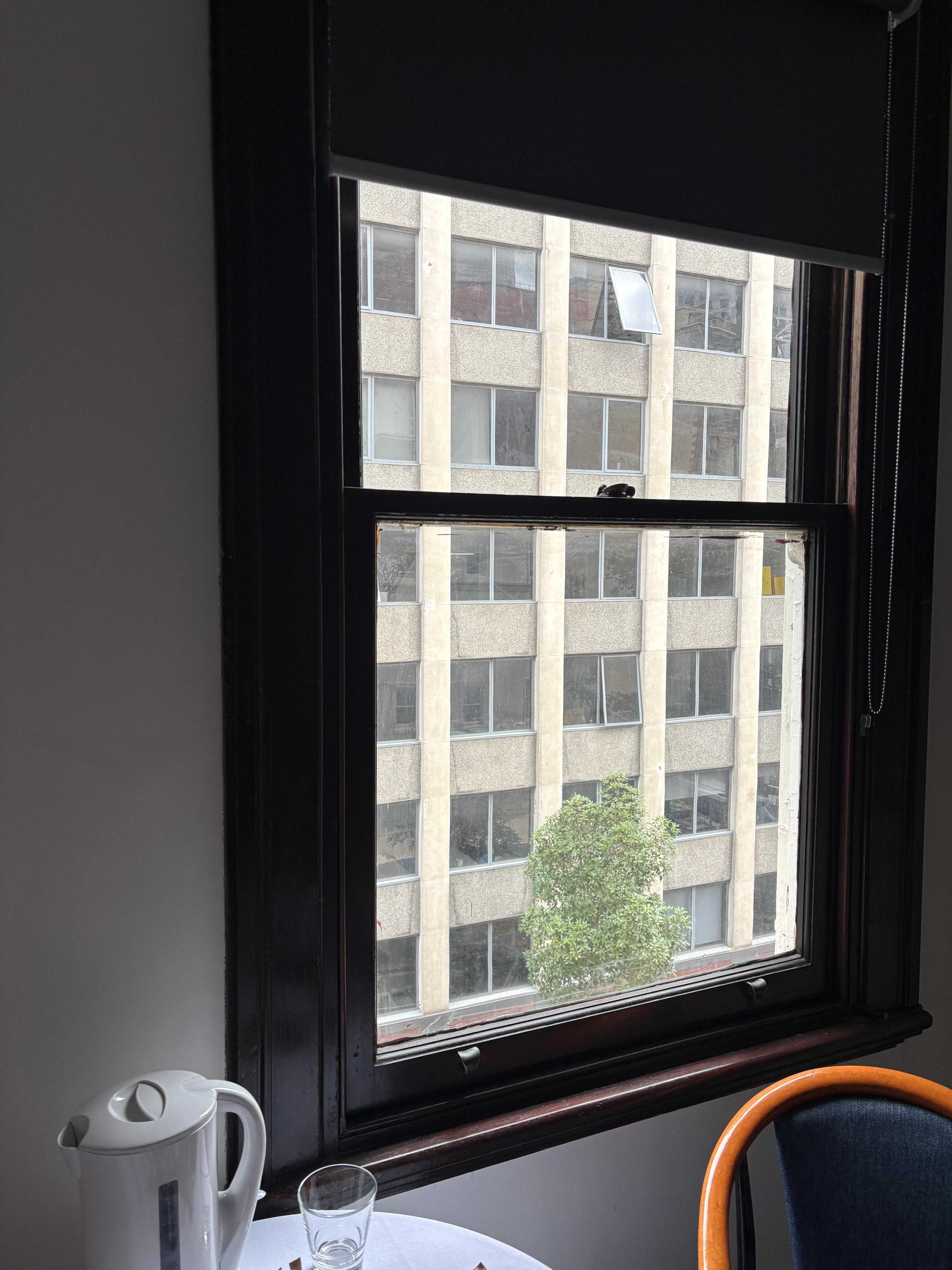 View from one of two windows 