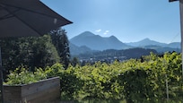 Blick von der Terrasse