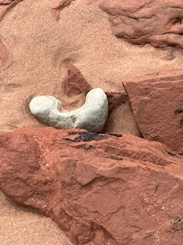 Cavendish National Park