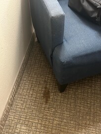 Blood stain in room 310.
