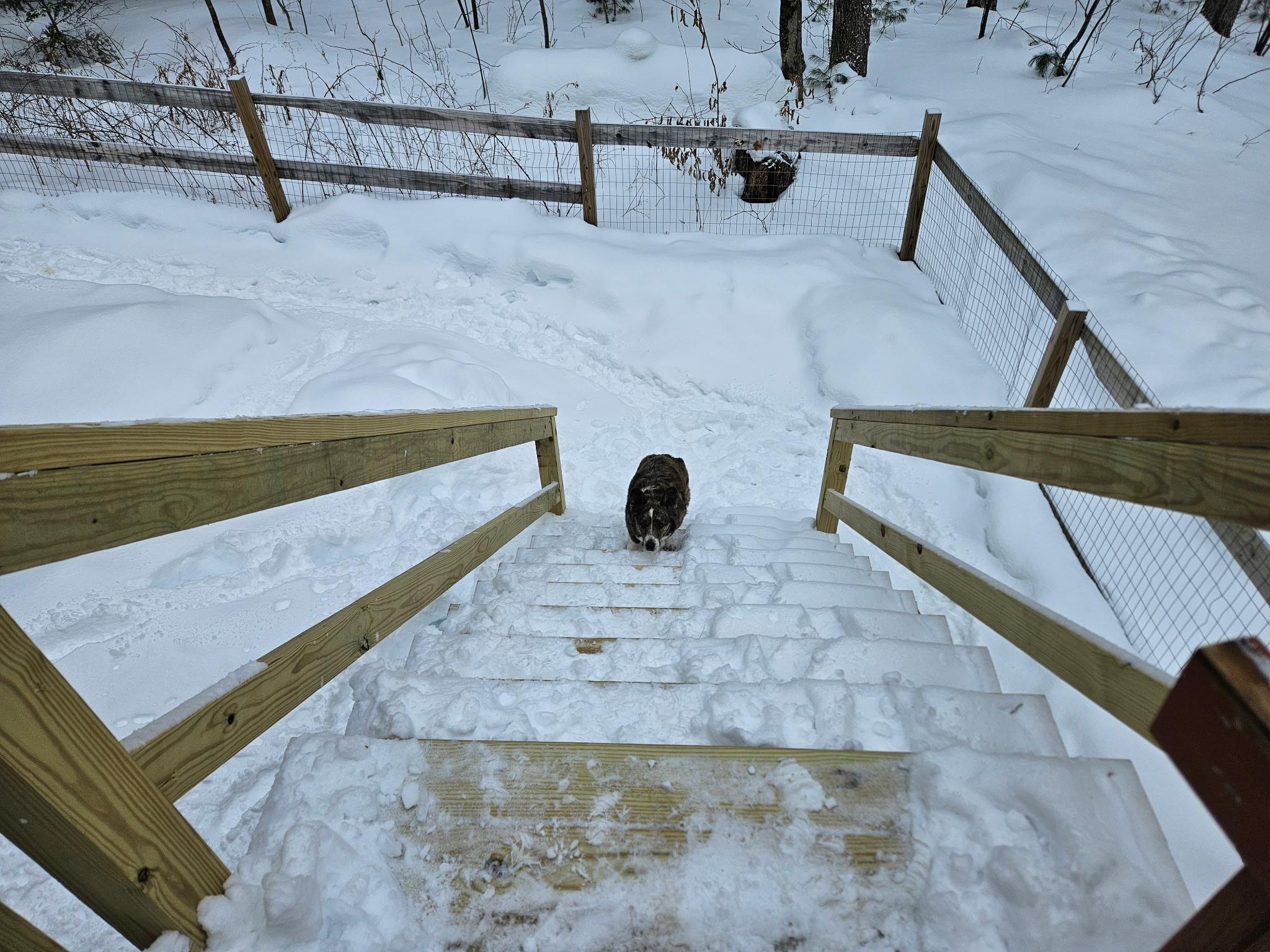 Stairs from kitchen on 2nd level to the basement level