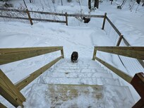 Stairs from kitchen on 2nd level to the basement level