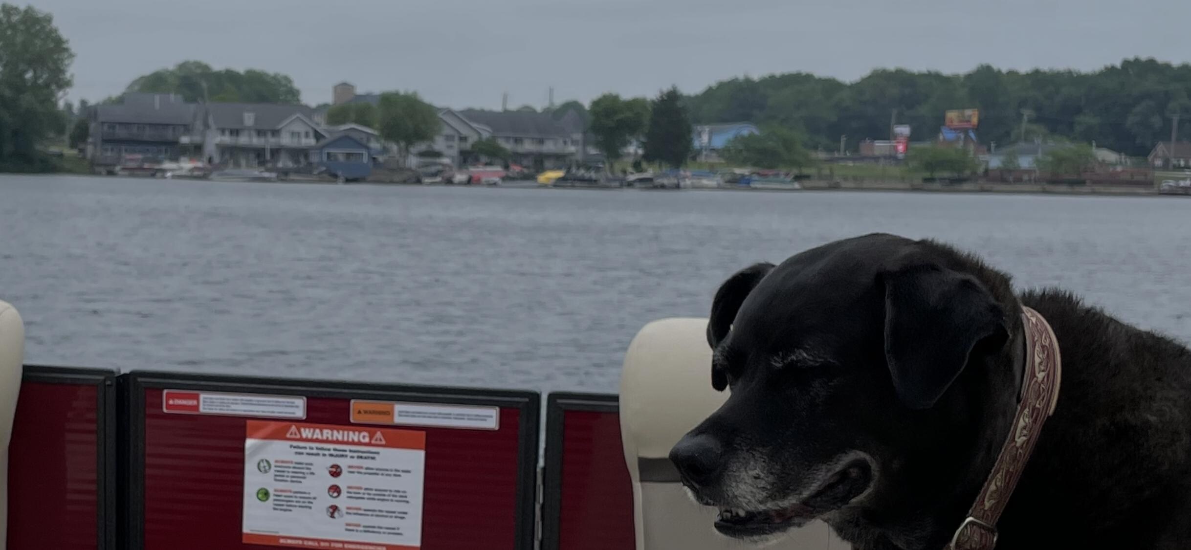 Pontoon rentals are a must!