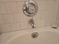 Bath tub moldy