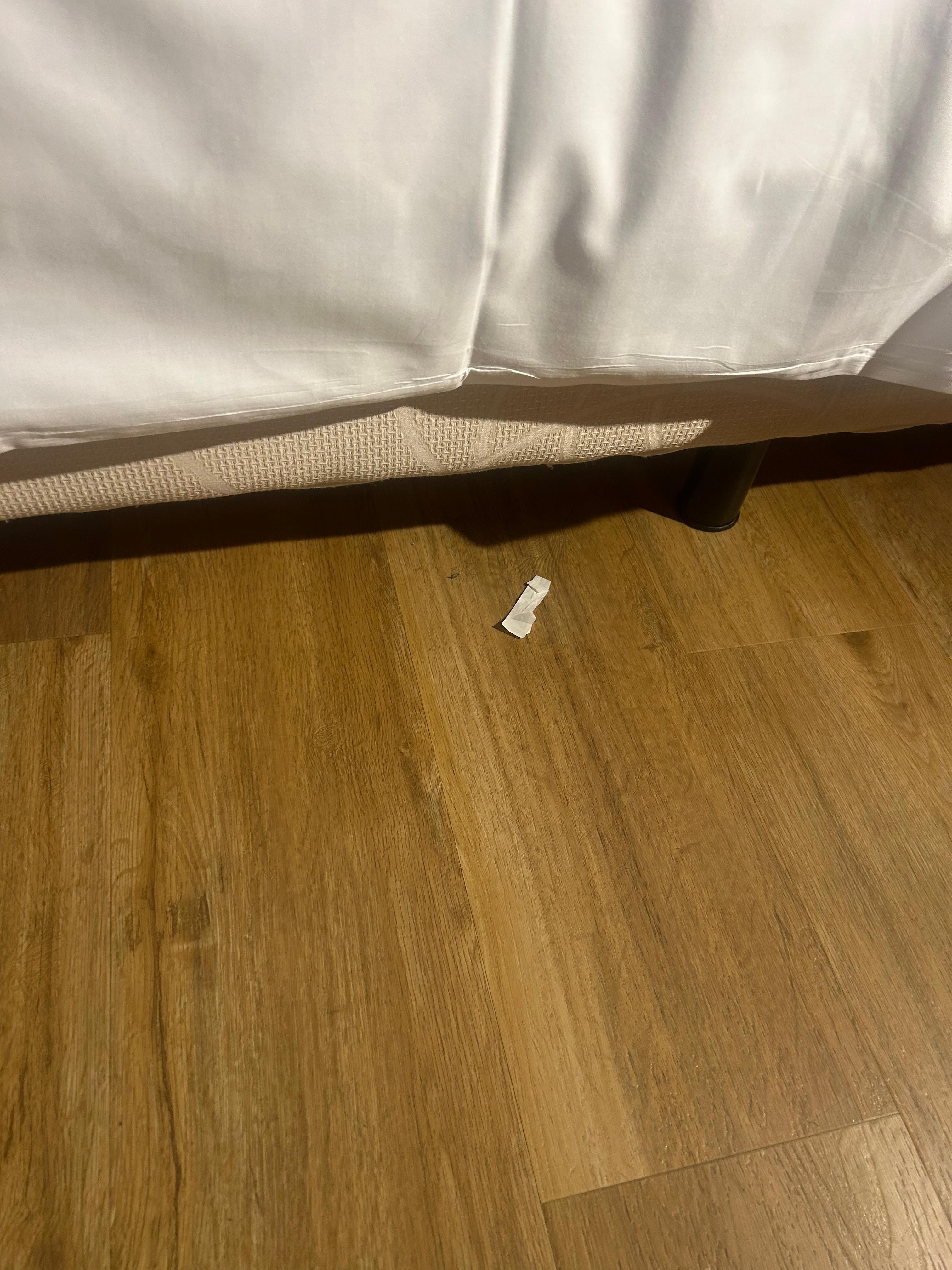 The litter on the floor