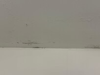 Mold in bathroom