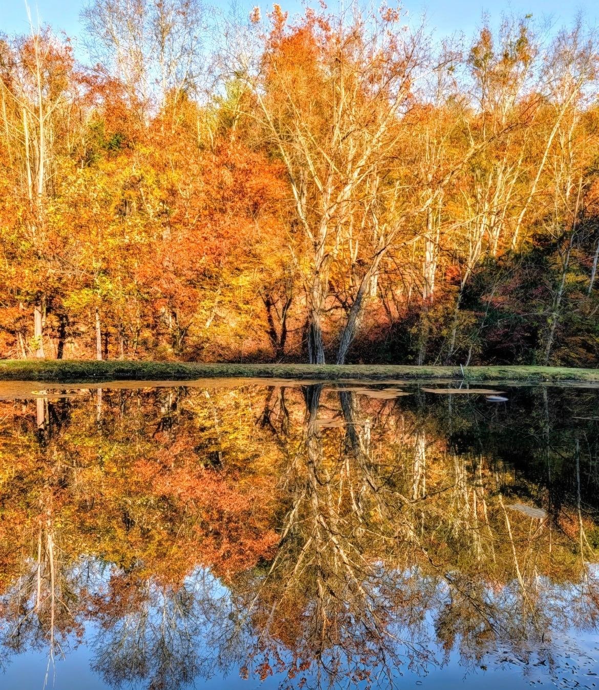 Sunrise over the pond