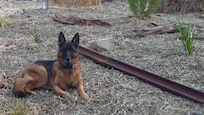 Cherry loved her country getaway.