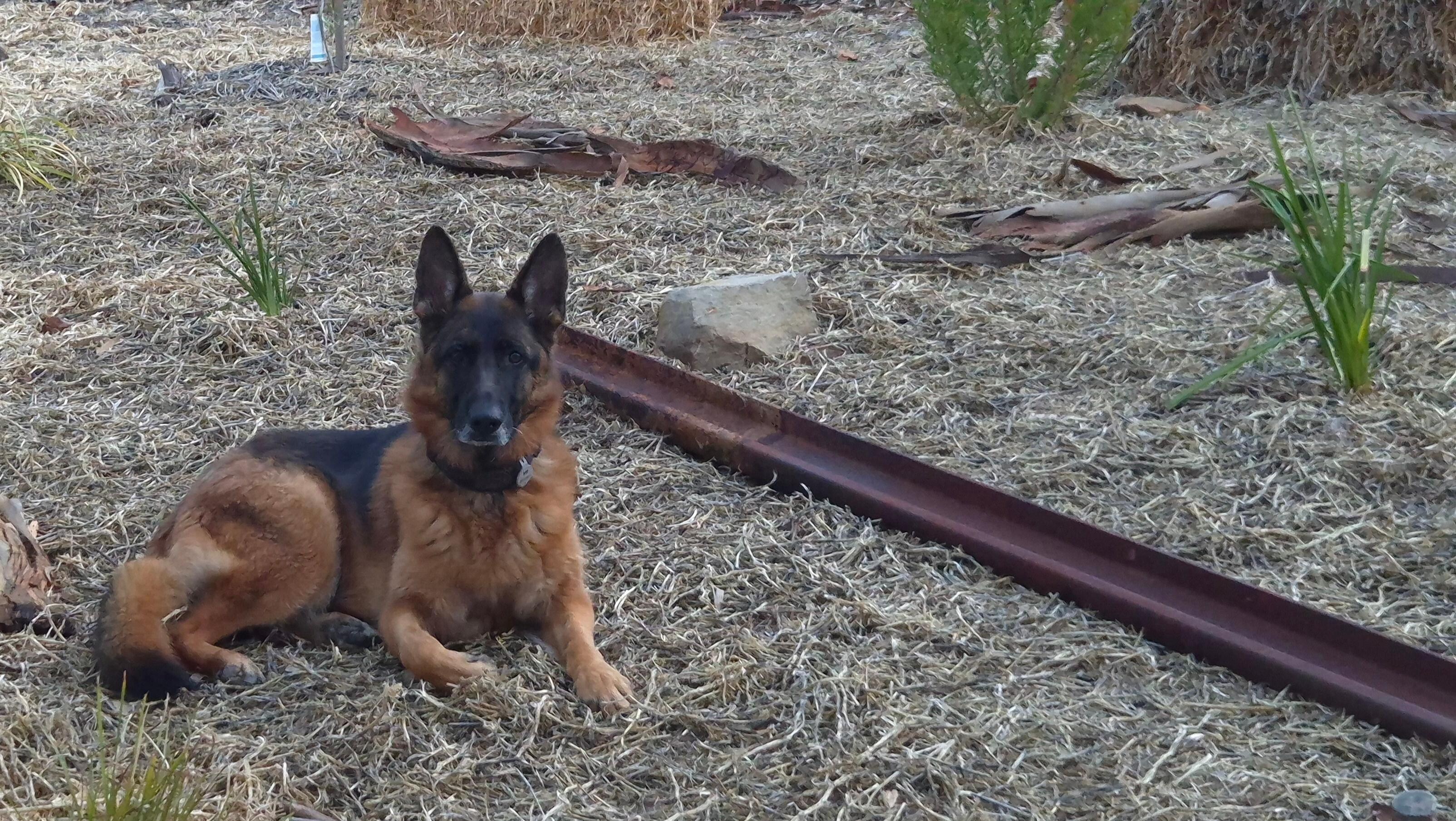 Cherry loved her country getaway.