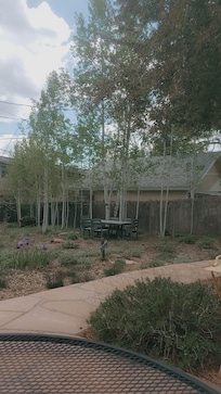 Beautiful backyard!