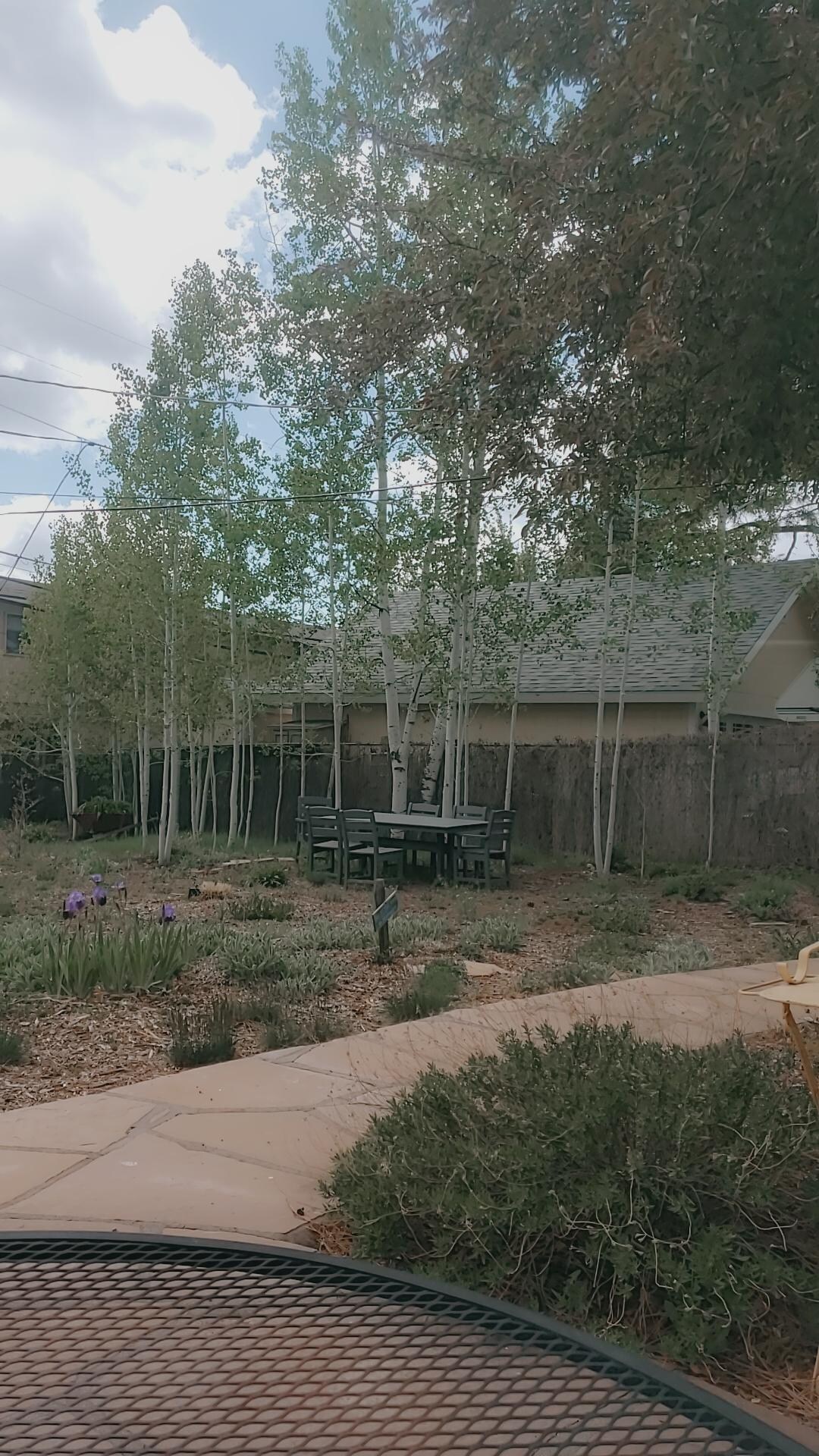 Beautiful backyard!