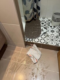 Rag on floor when we arrived and shower dirty and curtain orange mould on