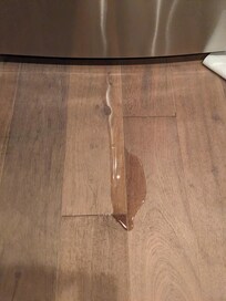 Freezer leak. You can see the towel to the right tucked in the corner where it leaked even more than that and soaked the carpet in front of the kitchen sink.