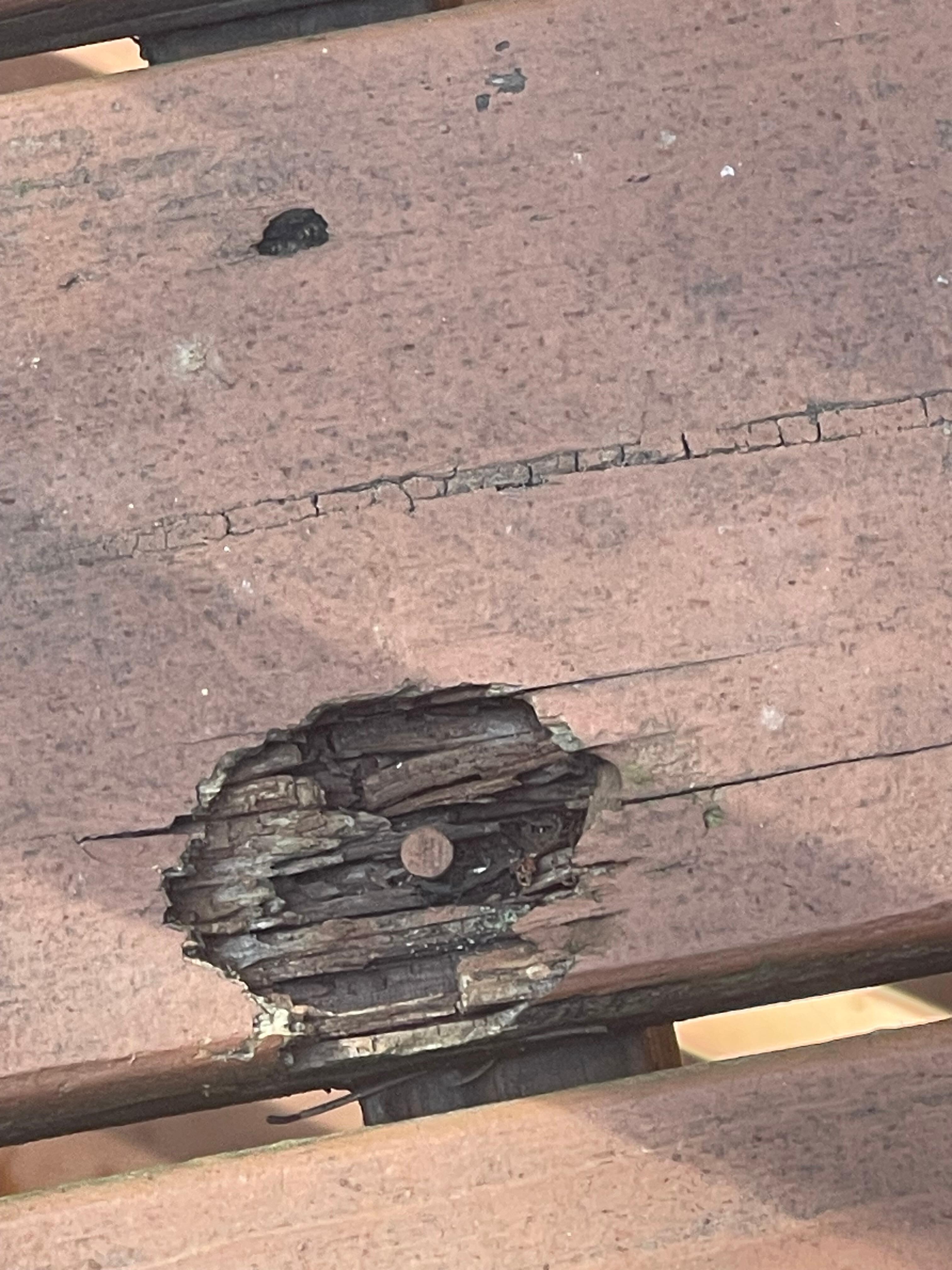 Rotten section of the decking. 
