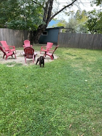Missy loved the back yard!