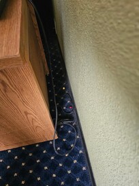 Disgusting, not clean