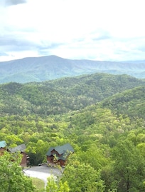 View from the back porch off of the dining/living room