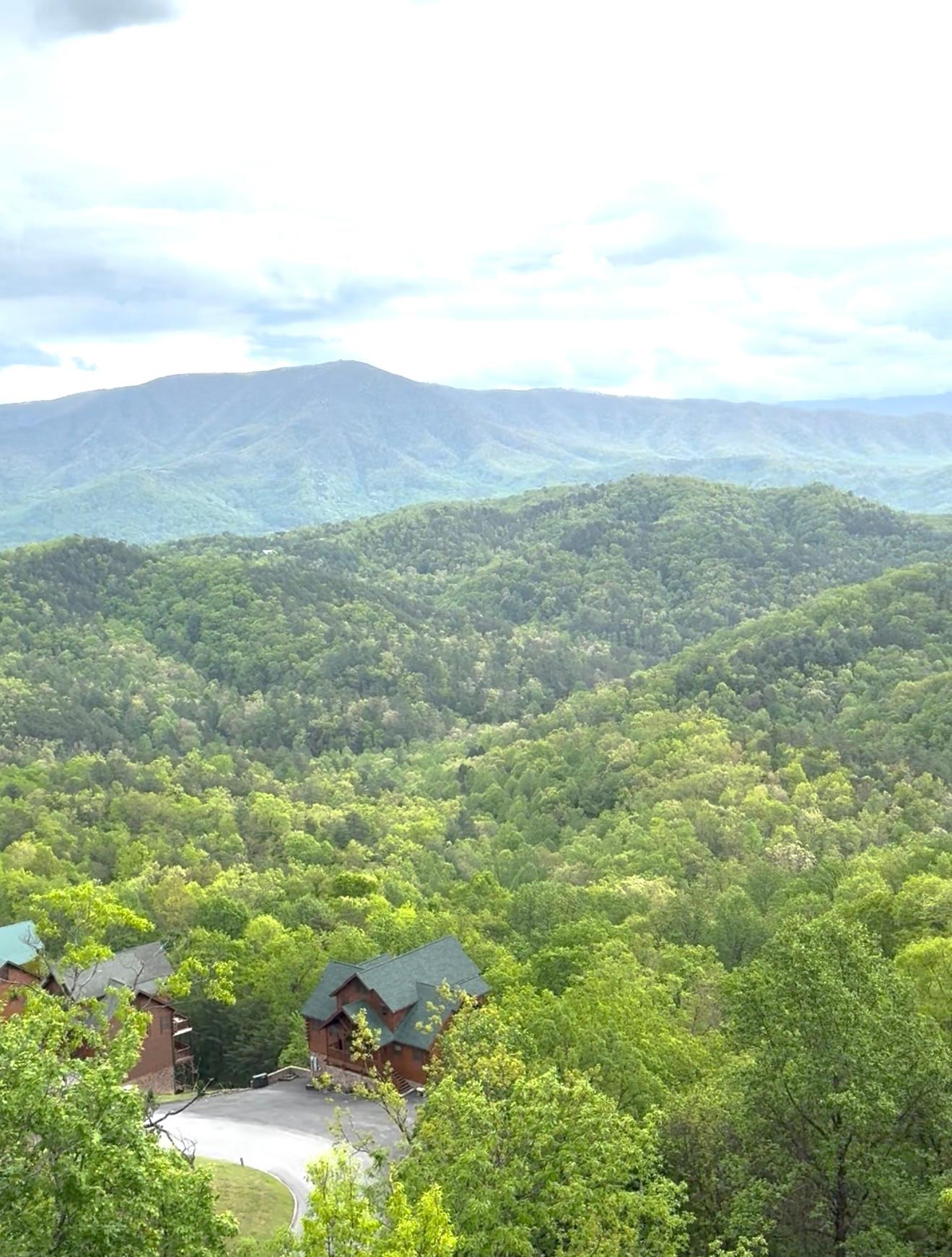 View from the back porch off of the dining/living room 