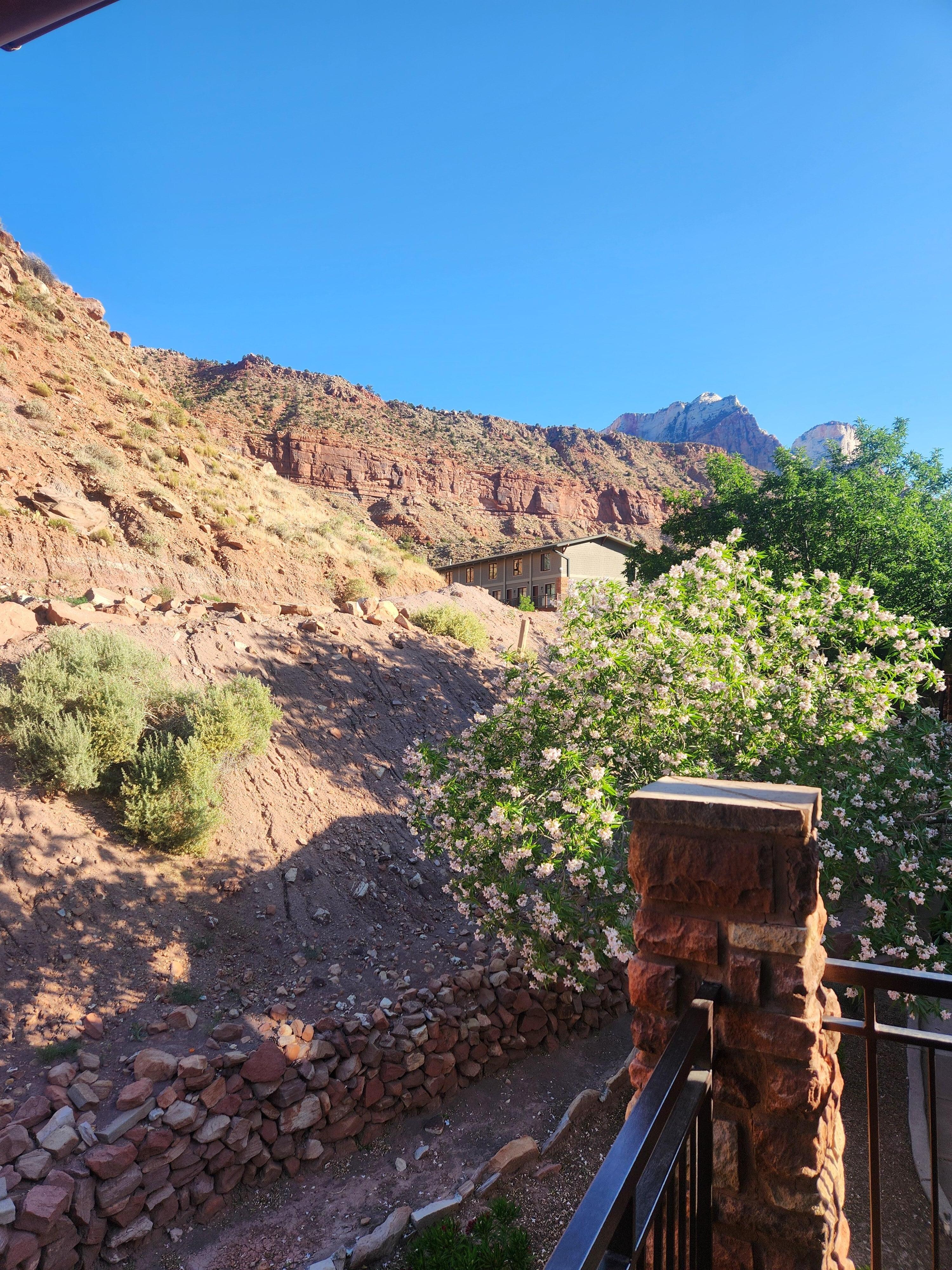 Room View