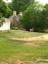 Neighborhood visitors