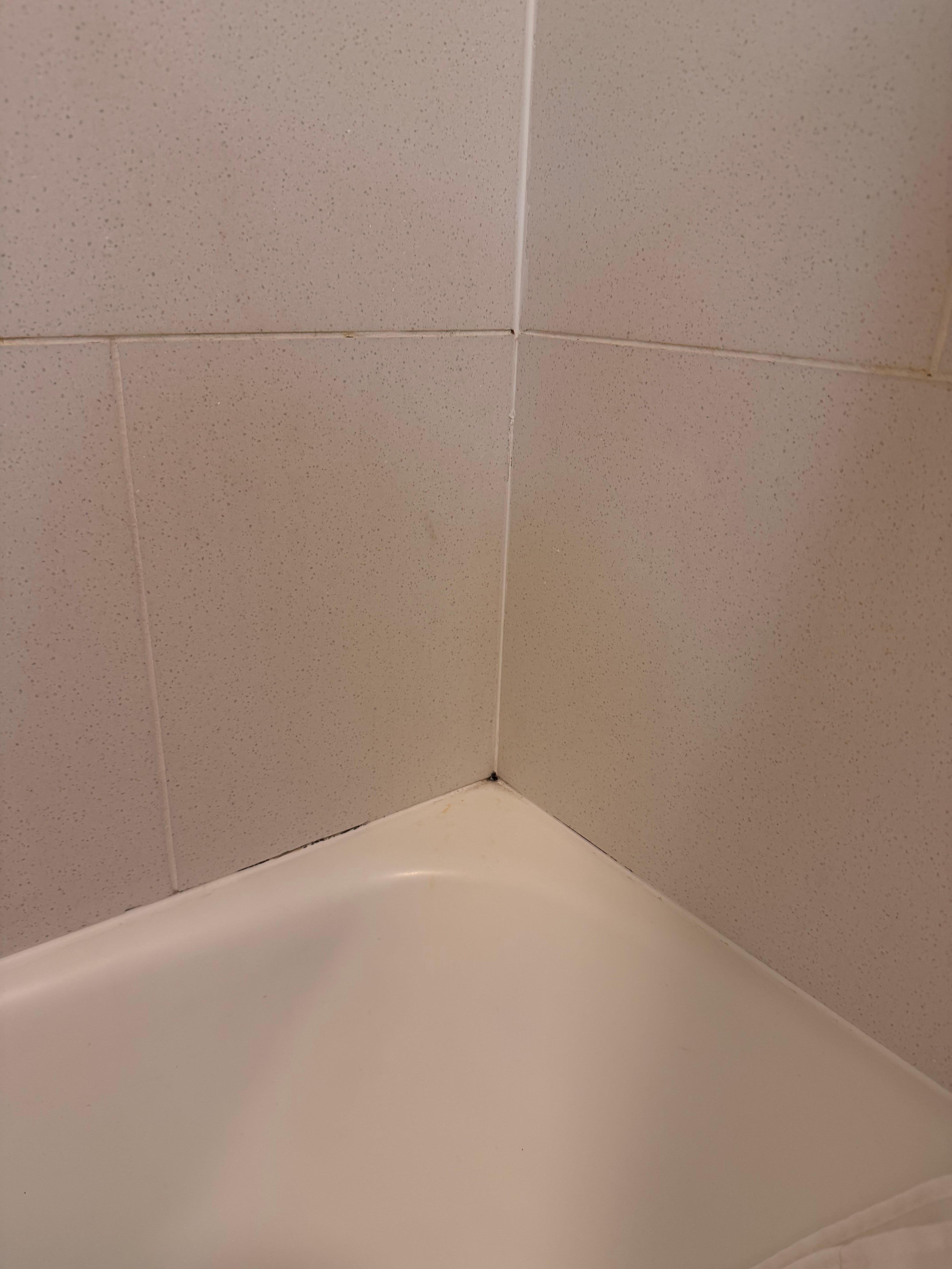 Black mold in tub
