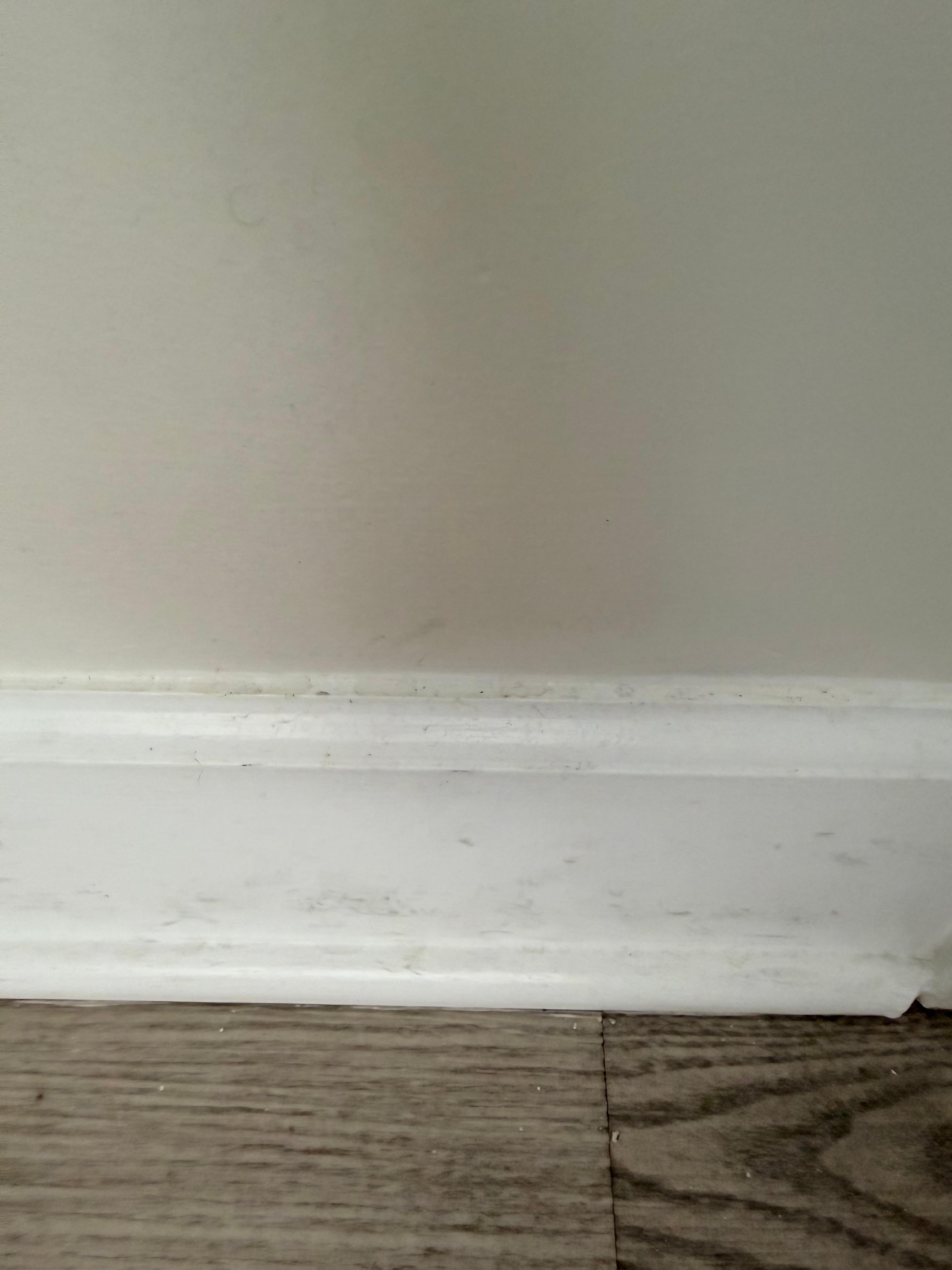 Filthy baseboard.