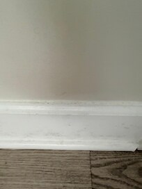 Filthy baseboard.