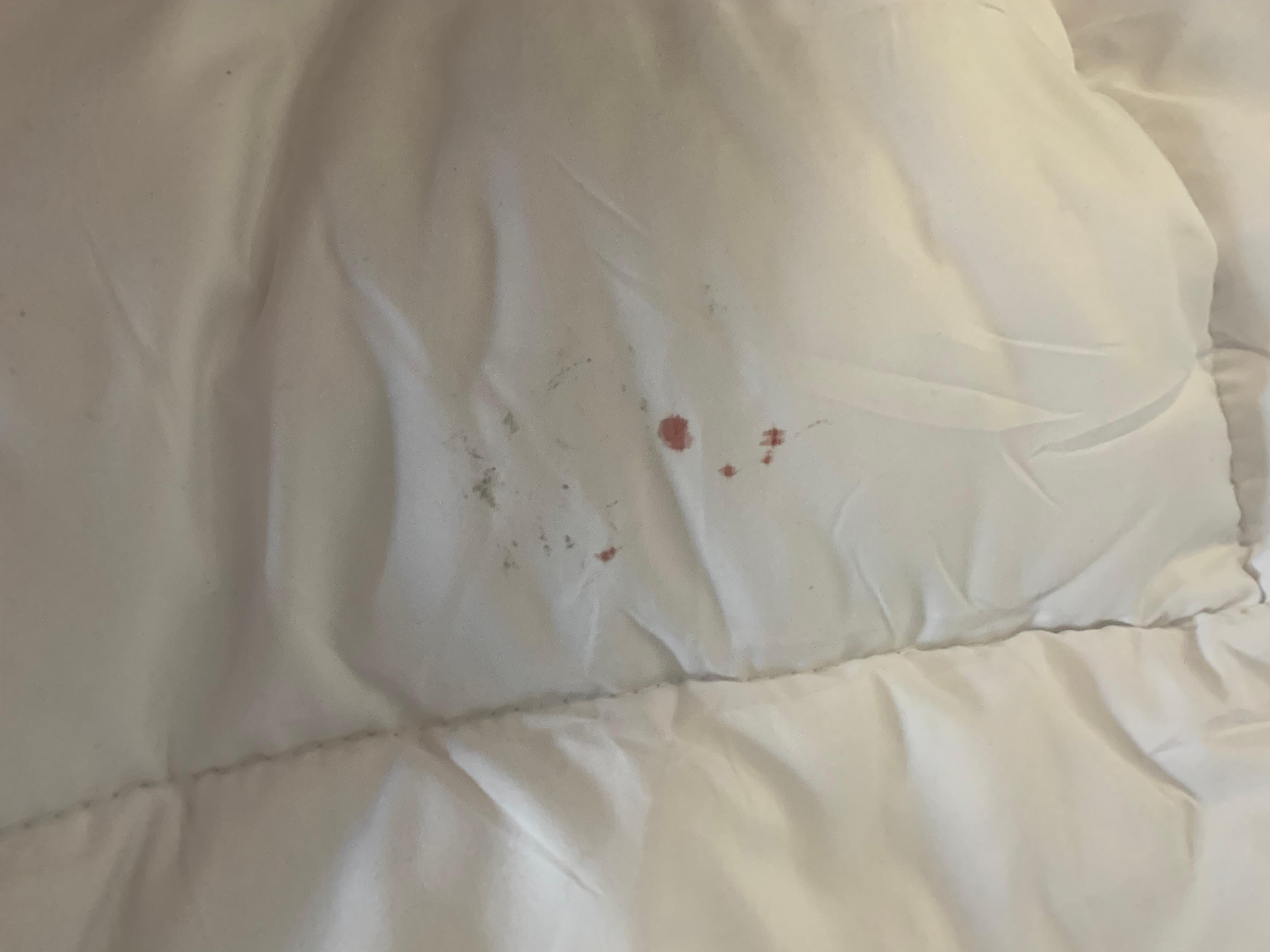 Blood on comforter
