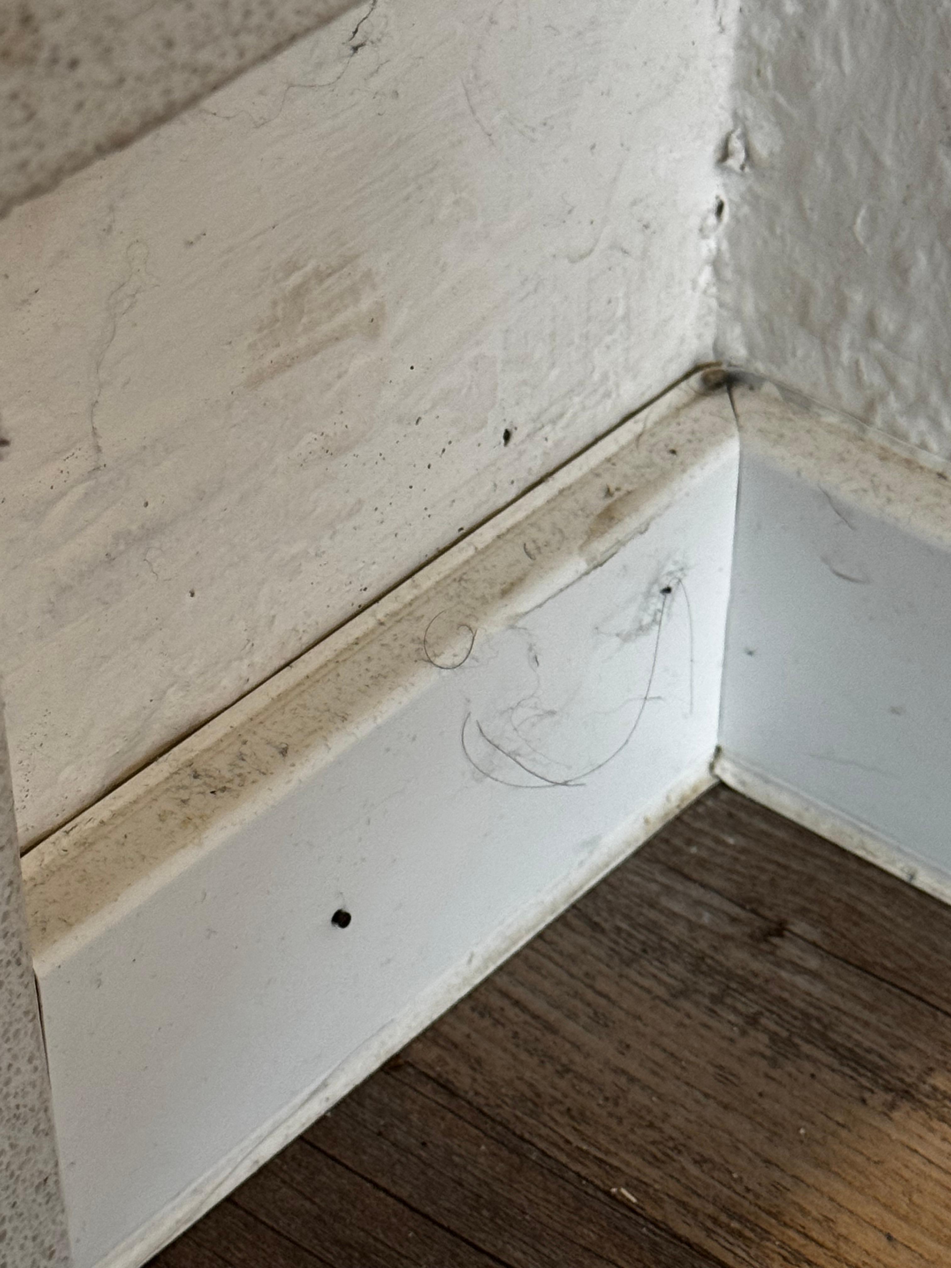 Frisch geputzt vor Übergabe!